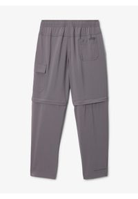 columbia - Spodnie trekkingowe chłopięce Columbia Silver Ridge Utility Convertible Pant. Kolor: szary