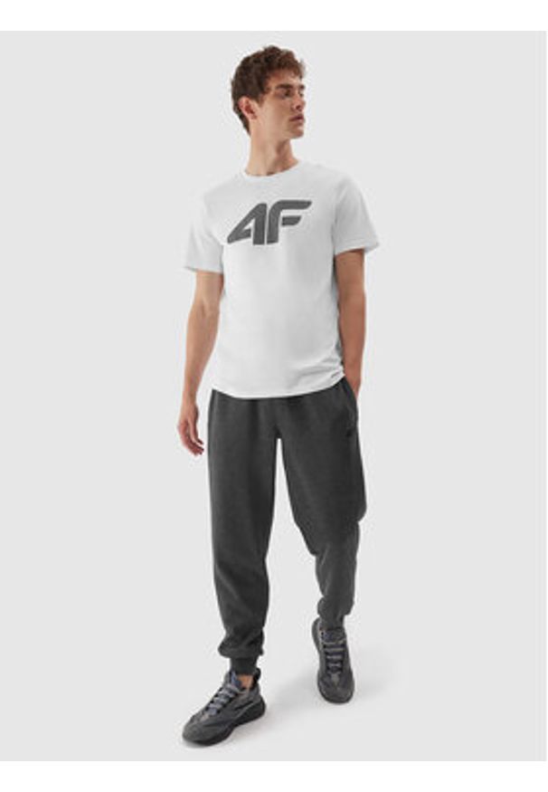 4f - 4F Spodnie dresowe 4FAW23TTROM451 Szary Regular Fit. Kolor: szary. Materiał: bawełna, dresówka