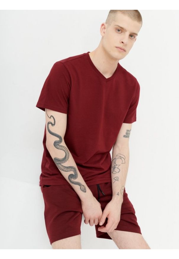 outhorn - T-shirt z dekoltem w serek męski. Okazja: na co dzień. Typ kołnierza: dekolt w serek. Materiał: bawełna, jersey, materiał. Wzór: gładki. Styl: casual