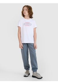 4f - 4F T-shirt regular z nadrukiem chłopięcy - biały 122 (6-7 lat). Okazja: na co dzień. Kolor: biały. Materiał: bawełna, jersey, dzianina. Długość rękawa: krótki rękaw. Długość: krótkie. Wzór: nadruk. Sezon: lato. Styl: sportowy, klasyczny, casual