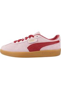 Tenisówki Puma Model Palermo Kolor Rose. Kolor: fioletowy, różowy, wielokolorowy, czerwony. Materiał: tkanina