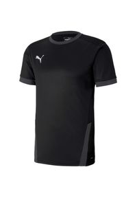 Koszulka do piłki nożnej męska Puma teamGOAL 23 Jersey. Kolor: czarny. Materiał: jersey. Sport: piłka nożna