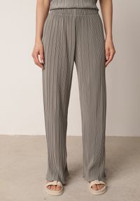 Born2be - Szare Szerokie Spodnie z Wysokim Stanem ze Zwiewnej Tkaniny z Plisami Galiris. Okazja: do pracy, na co dzień, na spotkanie biznesowe. Stan: podwyższony. Kolor: szary. Materiał: tkanina. Długość: długie. Styl: elegancki, biznesowy, casual #3