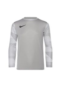 Koszulka bramkarska dziecięca Nike Dri-FIT Park IV Goalkeeper. Kolor: szary. Technologia: Dri-Fit (Nike). Sport: piłka nożna