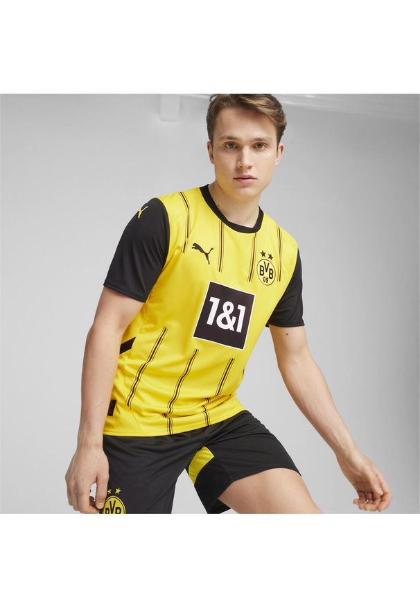 Puma - Męska koszulka domowa Borussia Dortmund 24/25 PUMA Faster Yellow Black. Kolor: wielokolorowy, żółty, czarny. Sport: piłka nożna