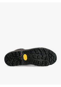 Buty trekkingowe wysokie Zamberlan Rolle Evo GTX. Kolor: szary