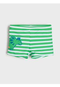 Sinsay - Kąpielówki w paski z dinozaurem - zielony. Kolor: zielony. Wzór: paski #1