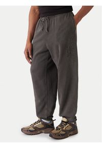 Tommy Jeans Spodnie dresowe New Classic DM0DM22360 Szary Relaxed Fit. Kolor: szary. Materiał: bawełna #1