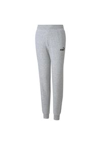 Spodnie treningowe dla dzieci Puma ESS Sweatpants TR. Kolor: szary #1