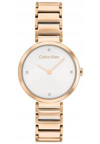 Calvin Klein - Zegarek Damski CALVIN KLEIN Minimalistic T Bar 25200140 + BOX #1