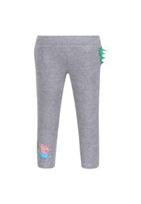 Regatta - Dziecięce Joggery Peppa. Kolor: szary #1