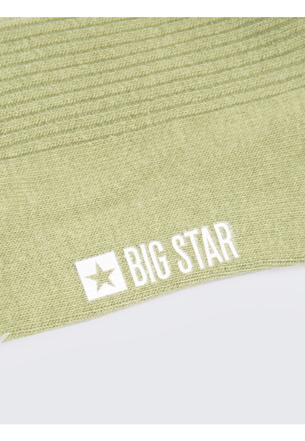 Big-Star - Skarpety damskie w prążek z falbanką pistacjowe Lasti 300. Kolor: zielony. Materiał: dzianina, prążkowany. Wzór: prążki