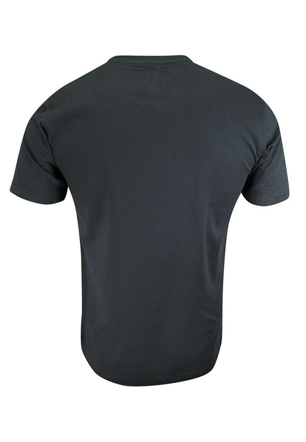 Pako Jeans - T-shirt Bawełniany, Grafitowy z Nadrukiem Geometrycznym, Męski, Krótki Rękaw, U-neck -PAKO JEANS. Okazja: na co dzień. Kolor: szary. Materiał: bawełna. Długość rękawa: krótki rękaw. Długość: krótkie. Wzór: nadruk. Styl: casual