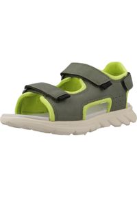 Geox - Sandały GEOX J SANDAL AIRADYUM BO Zielony. Kolor: zielony. Materiał: tkanina, syntetyk #1