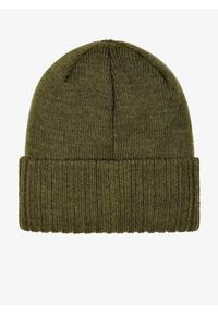 Scott - Czapka zimowa damska SCOTT SCO MTN 10 Beanie - fir green. Kolor: zielony. Sezon: zima