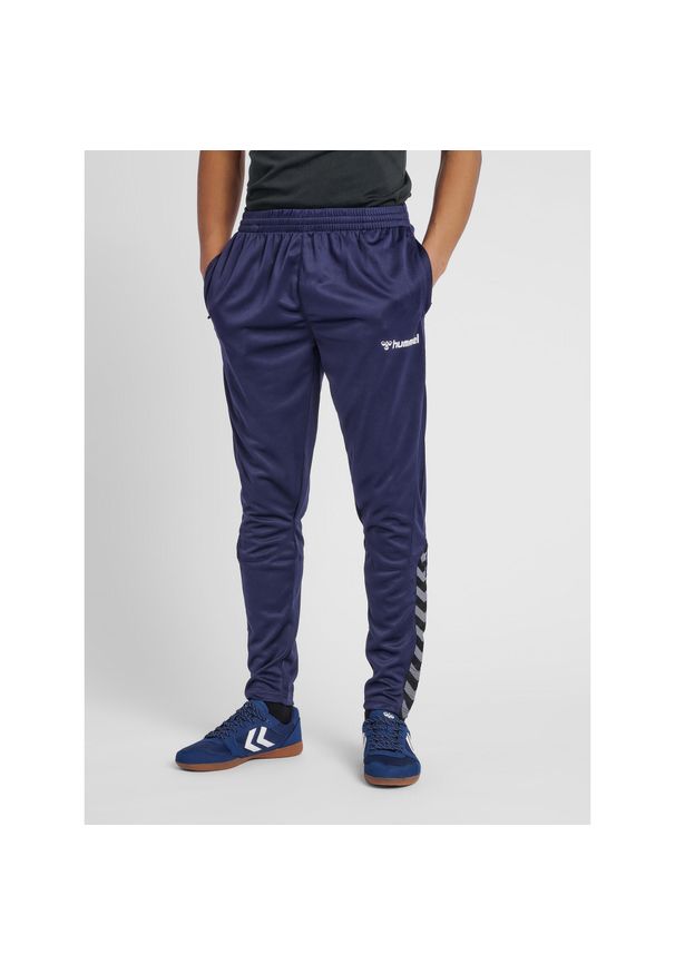 Spodnie Hummel hmlAUTHENTIC Training. Kolor: niebieski. Sport: piłka nożna