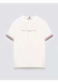 Big-Star - Koszulka męska z kontrastowym wykoŅczeniem biała Bortor 100. Kolor: biały. Materiał: bawełna, jeans. Wzór: nadruk #1