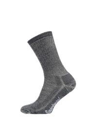 Skarpety turystyczne męskie Smartwool Classic Hike Full Cushion Crew. Kolor: szary. Sport: outdoor #1