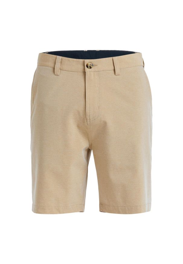 Quiksilver - Spodenki kąpielowe typu amphibian UNION HEATHER AMPH 19" Brązowy Mężczyźni. Kolor: beżowy. Materiał: poliester, materiał, elastan. Styl: sportowy