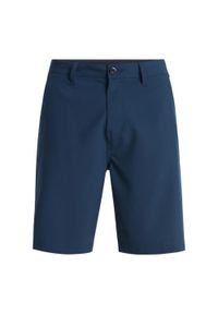 Quiksilver - Spodenki kąpielowe typu amphibian dla Mężczyzn UNION AMPH 20" Czarny. Kolor: niebieski. Materiał: elastan, poliester, materiał. Styl: sportowy
