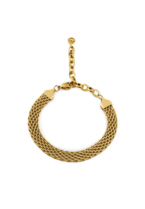 Aldo Bransoletka Gimie 13868388 Złoty. Materiał: złote. Kolor: złoty