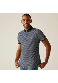 Regatta - Koszulka turystyczna polo męska Tiver. Typ kołnierza: polo. Kolor: turkusowy, niebieski, wielokolorowy. Materiał: bawełna. Wzór: paski. Sport: turystyka piesza #1