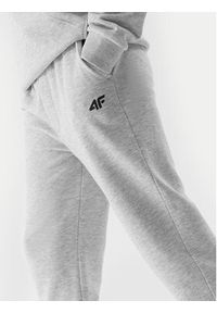 4f - 4F Spodnie dresowe 4FJWSS24TTROM591 Szary Regular Fit. Kolor: szary. Materiał: bawełna #2
