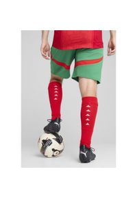 Puma - Szorty Maroc CAN 2025. Kolor: czerwony, wielokolorowy, zielony. Sport: piłka nożna