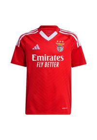 Adidas - Koszulka Benfica 24/25 Home Kids. Kolor: czerwony. Materiał: materiał. Sport: piłka nożna