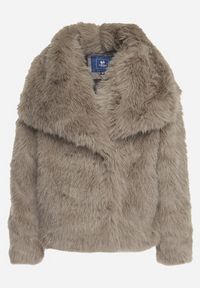 Born2be - Ciemnoszara Kurtka Futro z Wsuwanymi Kieszeniami Liriena. Okazja: na spacer, na co dzień. Kolor: szary. Materiał: futro. Styl: klasyczny, casual, elegancki #2