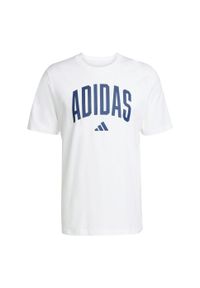 Adidas - Koszulka Collegiate Lineage Graphic. Kolor: biały. Materiał: bawełna. Sport: fitness