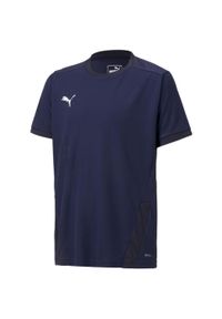 Koszulka dla dzieci Puma teamGOAL 23 Jersey. Kolor: niebieski. Materiał: jersey