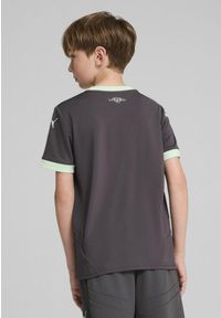 T-Shirt Dla Dzieci Puma Acm Trzecia Replika Jersey Jr. Kolor: zielony, wielokolorowy, szary. Materiał: jersey