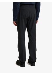 Haglöfs - Spodnie softshell męskie Haglofs Moran Softshell Standard Pant. Kolor: czarny. Materiał: softshell. Sport: turystyka piesza