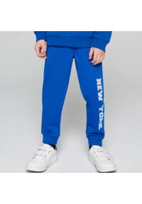 Sinsay - Spodnie dresowe jogger - Niebieski. Kolor: niebieski. Materiał: dresówka