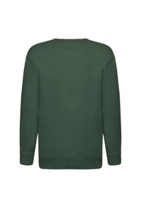 FRUIT OF THE LOOM - Bluza Dziecięca Premium. Kolor: zielony