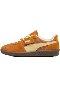 Puma Palermo Vintage 39684102. Kolor: pomarańczowy, wielokolorowy, brązowy