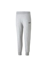 Spodnie damskie Puma ESS Sweatpants FL. Kolor: szary #1