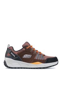 skechers - Skechers Trekkingi Equalizer 4.0 Trail 237023/BRBK Brązowy. Kolor: brązowy. Materiał: materiał. Sport: turystyka piesza #1