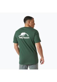 Koszulka męska Helly Hansen Nord Graphic. Kolor: zielony. Sport: turystyka piesza #1