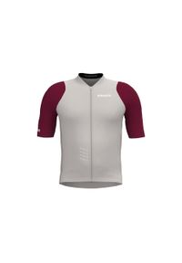 BIORACER - Cycling Jersey Short Sleeve Kids - Icon Warm Grey/Bordeaux. Kolor: szary. Materiał: jersey. Sport: kolarstwo #1