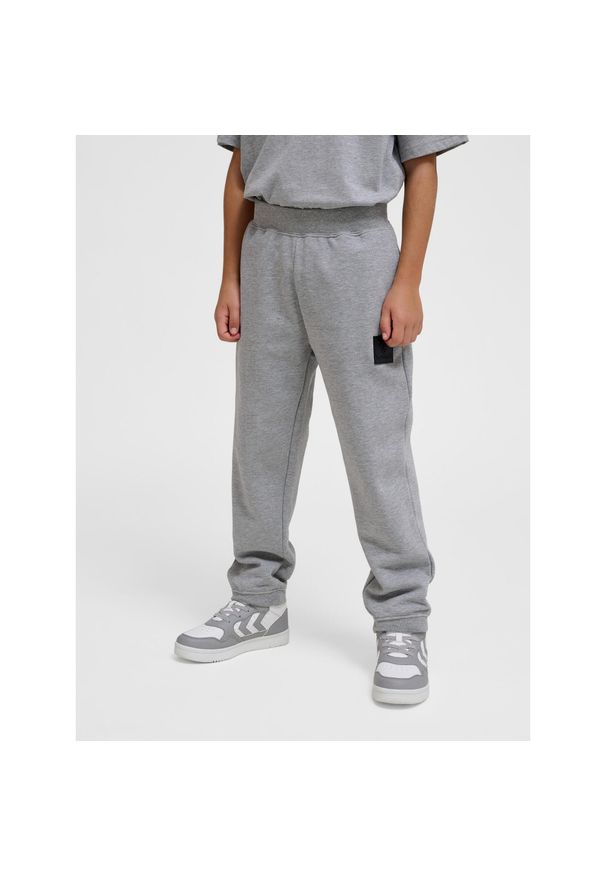 Regulowane spodnie dresowe dla dzieci Hummel Clean. Kolor: szary. Materiał: dresówka. Sport: joga i pilates