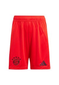 Adidas - Szorty FC Bayern 24/25 Home Kids. Kolor: czerwony. Materiał: materiał. Sport: piłka nożna
