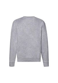 FRUIT OF THE LOOM - Męska Bluza Rozpinana Premium Heather. Kolor: szary