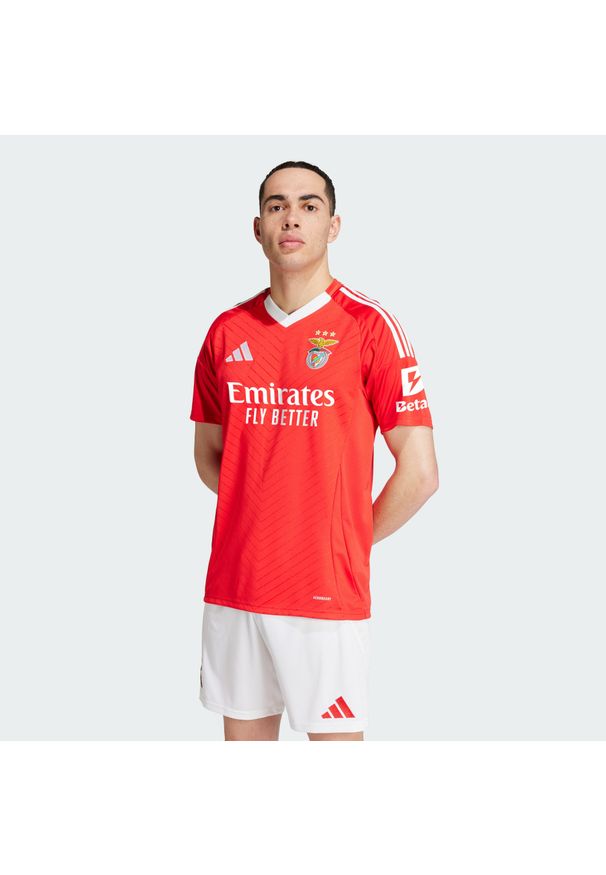 Adidas - Koszulka Benfica 24/25 Home. Kolor: czerwony. Materiał: materiał. Sport: piłka nożna