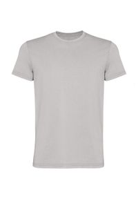 ROLY - Męska Koszulka Corgi Z Krótkim Rękawem. Kolor: szary. Długość rękawa: krótki rękaw. Długość: krótkie. Sport: turystyka piesza #1