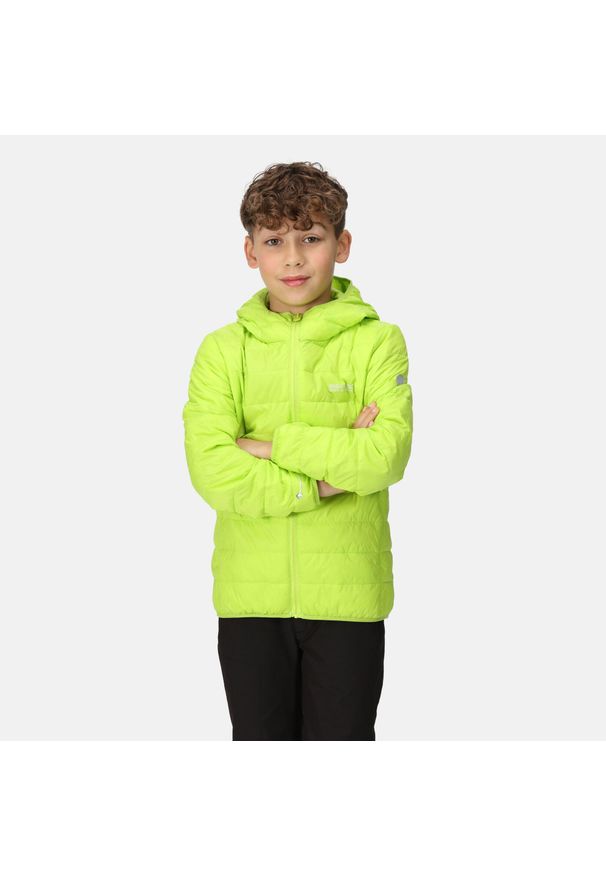 Junior Hillpack Regatta dziecięca turystyczna kurtka z kapturem. Okazja: na spacer. Typ kołnierza: kaptur. Kolor: zielony