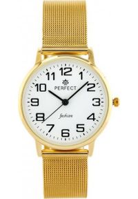 Zegarek Perfect ZEGAREK DAMSKI PERFECT F105 (zp893b) #1