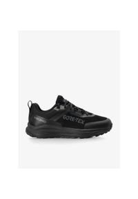 Buty męskie Viking Stride Low GTX. Kolor: czarny