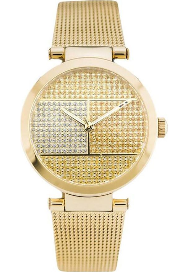 Zegarek Tommy Hilfiger ZEGAREK DAMSKI TOMMY HILFIGER 1781867 LYNN (zf507e)